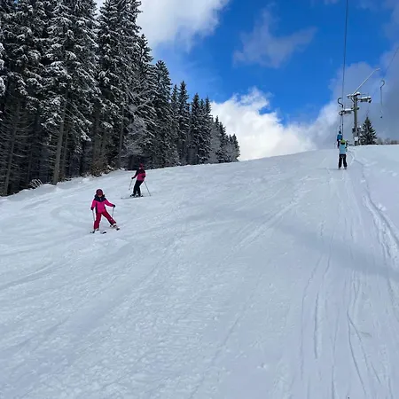 Domek alpejski Andelka *