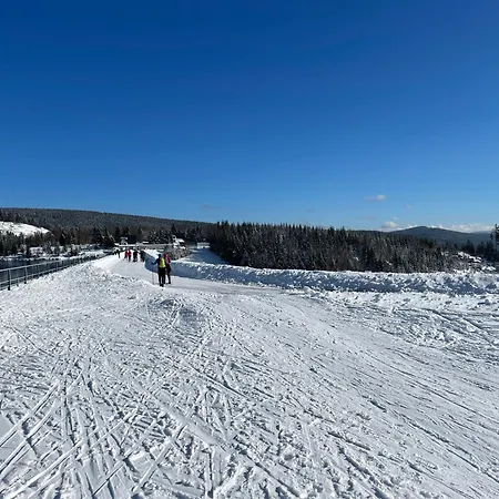 Domek alpejski Andelka