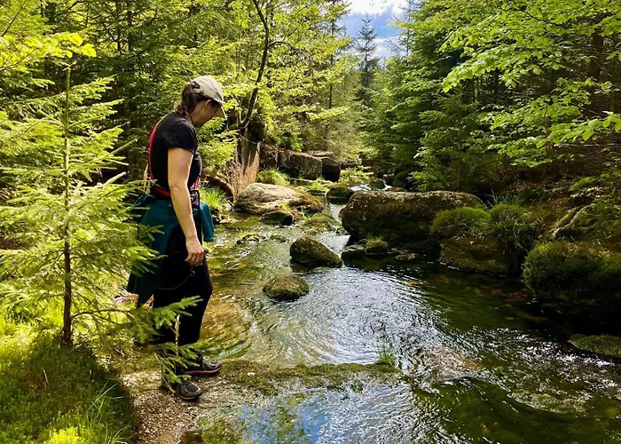 Andelka Domek alpejski