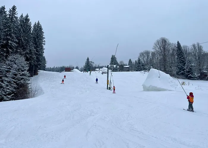 Andelka Domek alpejski *
