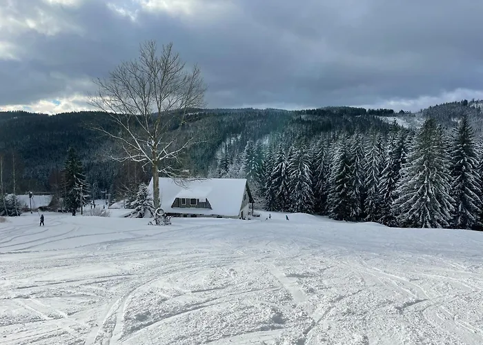 Andelka Domek alpejski