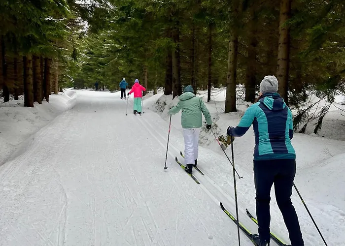 Domek alpejski Andelka