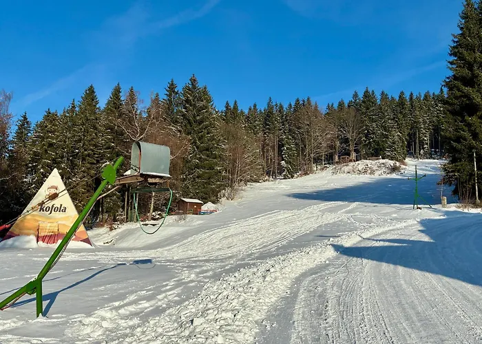 Domek alpejski Andelka *