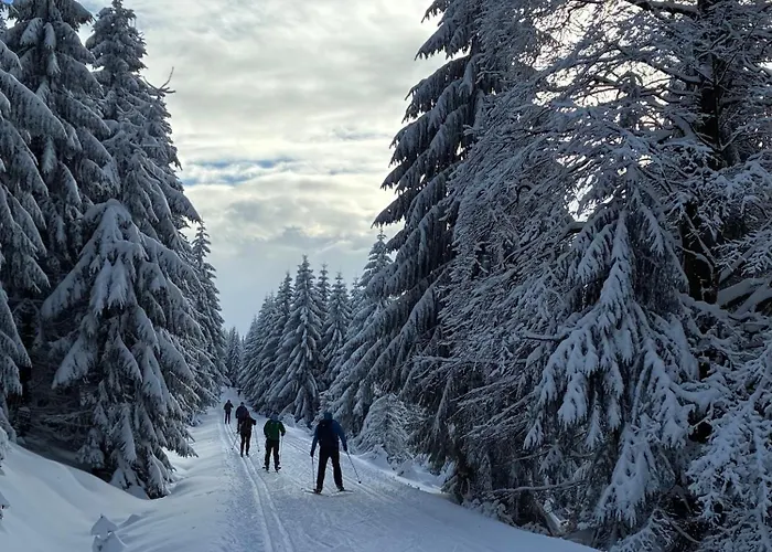 Domek alpejski Andelka