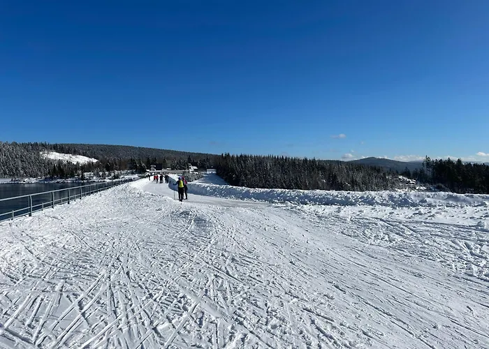 Domek alpejski Andelka
